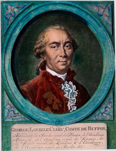 Portræt af George Louis Le Clerc, greve af Buffon (1707-1788), fransk naturforsker og forfatter. Indgravering af det 18. århundrede. Privat samling. af Unknown artist