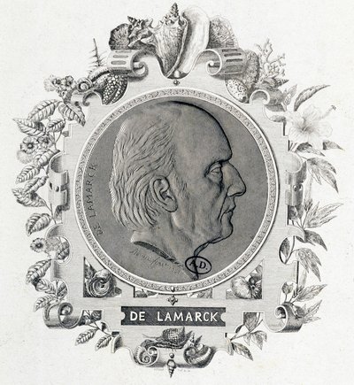 Portræt af Jean Baptiste Lamarck - gravering af Unknown artist