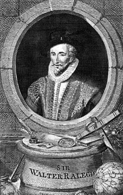 Portræt af Sir Walter Raleigh (1554 - 1618), engelsk hofmandsnavigatør og forfatter. Indgravering af det 18. århundrede. af Unknown artist