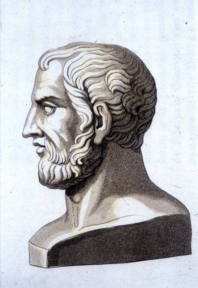 Portræt af Theophraste (372 f.Kr.-287 f.Kr.), græsk filosof. af Unknown artist
