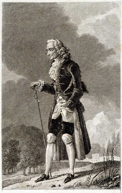 Portræt af Voltaire (1694 - 1778), fransk forfatter og filosof, ældre. af Unknown artist