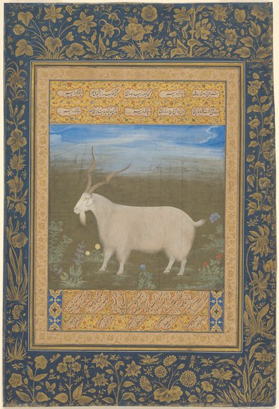 Portræt af en ladakhisk bjergged af Unknown artist