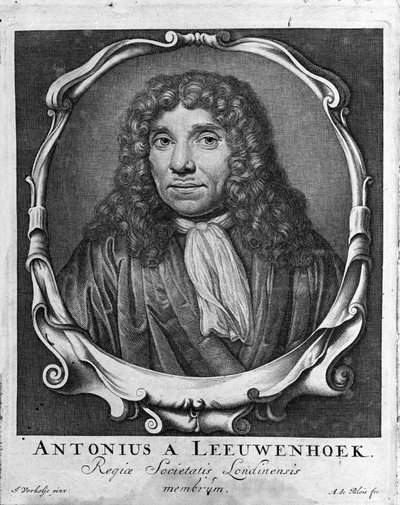 Portræt af den hollandske handelsmand og lærd Antoine van Leeuwenhoek (eller Leeuvenhoek Leeuwenhoeck) (eller Antoni eller Anthonie) (1632-1723) Indgravering fra "Investigatio Arcanorum" 1722. af Unknown artist