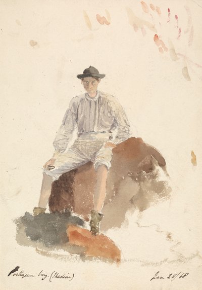 Portugisisk dreng (Madeira) 25. januar 1868 af Unknown artist