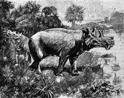 Forhistorie: repræsentation af en fire-hornet Uintatherium dinosaur. af Unknown artist