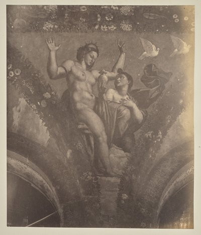 Psyke giver potten til Venus af Unknown artist