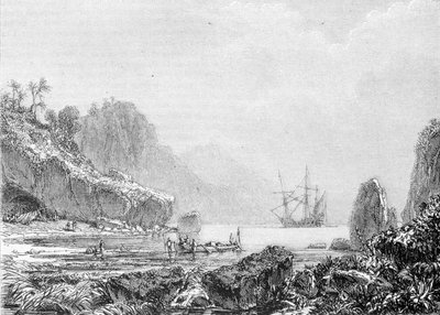 Repræsentation af Turtle Island. Gravering 1800-tallet. af Unknown artist