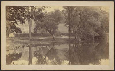 [Silverspring Pond] af Unknown artist