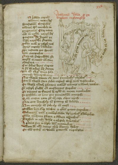 Speculum Humanae Salvationis af Unknown artist