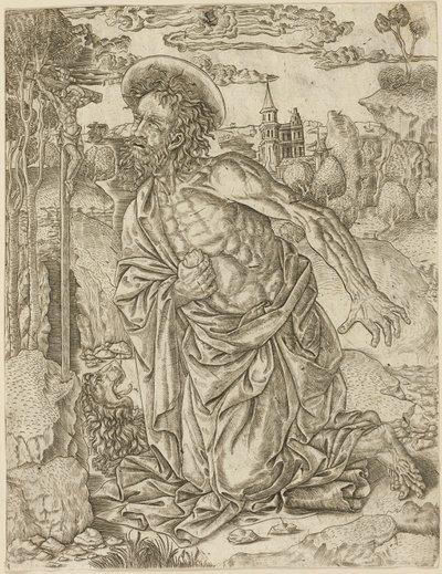 Sankt Hieronymus i bod af Unknown artist