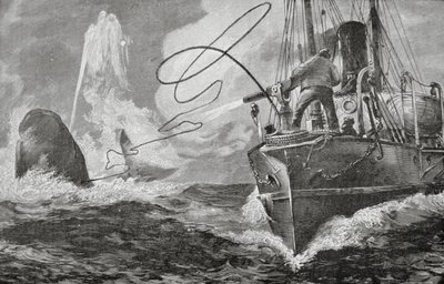 Dampskibe som hvalfangere af Unknown artist