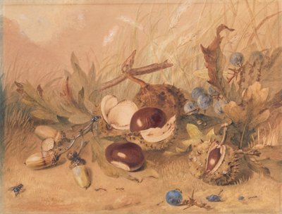 Stilleben med agern og hestekastanjer af Unknown artist