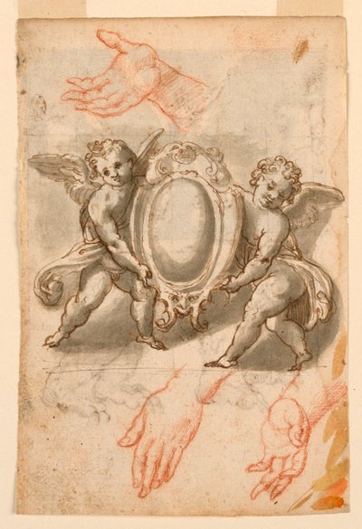 Studier af hænder og putti med et skjold af Unknown artist