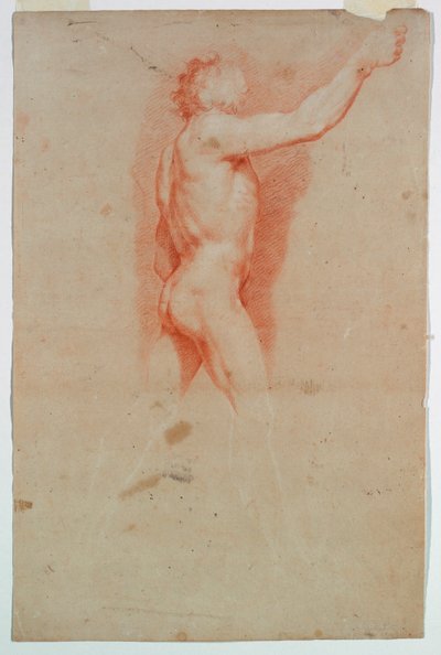 Studie: En nøgen af Unknown artist
