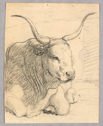 Studie: en liggende ko af Unknown artist