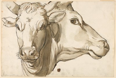 Studie af en ko af Unknown artist