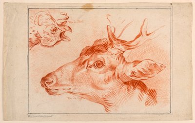 Studie af hovederne på en kylling og hjorte af Unknown artist