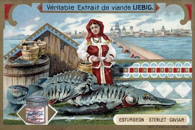 Stør, sterlet, kaviar, med en ung kvinde, der holder spande, foran en russisk by - Liebig-kromolitografi af Unknown artist
