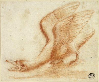 Svane af Unknown artist
