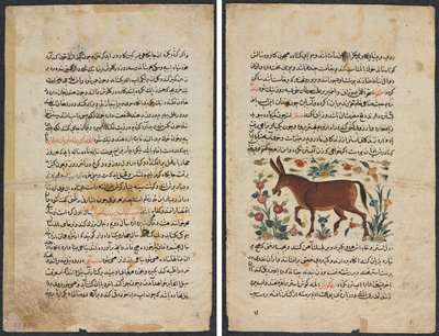 Tekstside, persisk prosa (Recto); Khar (røv) (verso) af Unknown artist