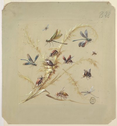 Tekstil- eller tapetdesign: Insekter af Unknown artist