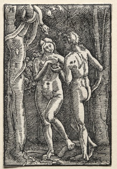 Menneskets fald og forløsning af Unknown artist