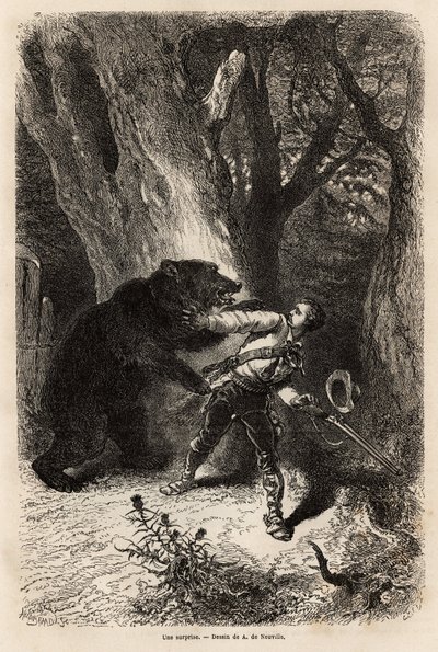 Forfatteren bliver under en udflugt rundt i Jacksonville overrasket i skoven af en tambjørn og kæde. Gravering for at illustrere historien fire måneder i Florida, af Achille Pousselgue i 1851-1852, udgivet i "" Le tour du monde"" 1870-1871, redigeret af Unknown artist