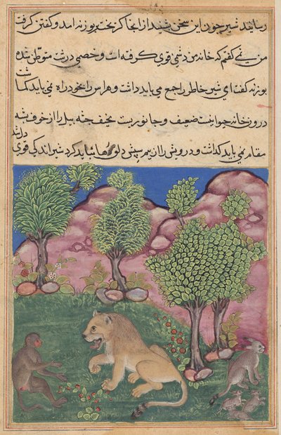 Aben råder den mistænkelige løve til at forkaste frygten og tage hans territorium i besiddelse fra en Tuti-nama (Fortællinger om en papegøje): Niogtyvende nat af Unknown artist