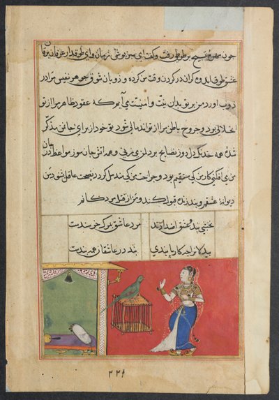Papegøjen henvender sig til Khujasta i begyndelsen af den syvogfyrre nat, fra en Tuti-nama (Fortællinger om en papegøje): Syvogfyrre nat af Unknown artist