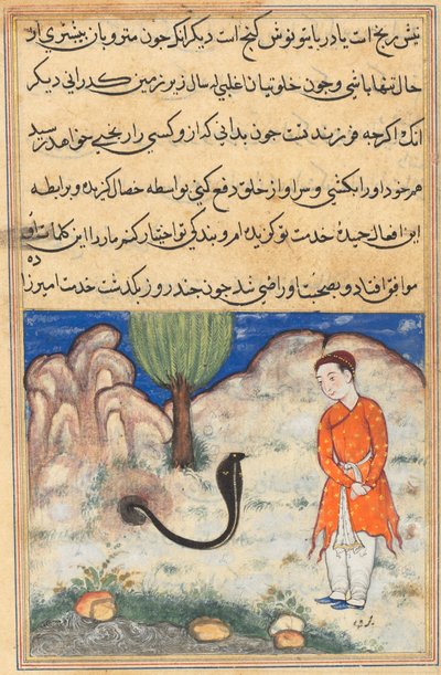 Prinsen, en søn af herskeren af Sistan, træder i tjeneste for en slange, fra en Tuti-nama (Fortællinger om en papegøje): Syvogtredive nat af Unknown artist