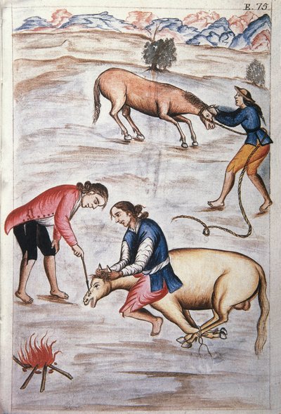 Den røde jernmærke af en hoppe, fra bogen "Trujillo del Peru" eller "Codex Martinez Companion", af Baltazar Martinez Companion og Bujanda, biskop af Trujillo (1782-1785) af Unknown artist