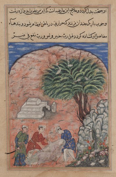 Bejlerne tager den hengivne datter ud af hendes grav efter at have brudt den op, da lægen opdager, at hun stadig er i live, fra en Tuti-nama (Tales of a Parrot): Twentieth Night af Unknown artist