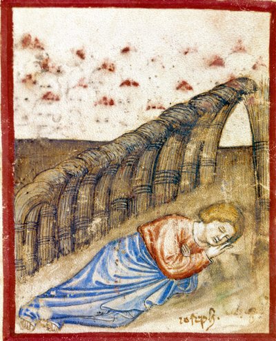 Visionen om Josef, søn af Jacob Miniature taget fra Codex 212 (eller Paduan Codex eller Bible of Padua) 1390-1400 Rovigo, Accademia dei Concordi af Unknown artist