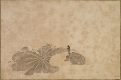 Skildpadde i en Lotusdam af Unknown artist