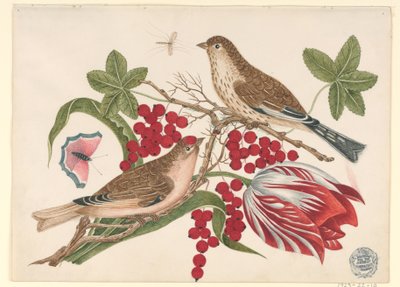 To brune fugle på gren med tulipaner, bær og insekter af Unknown artist
