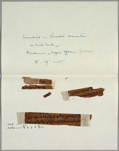 To Fragmenter af Bark med Sanskrit af Unknown artist