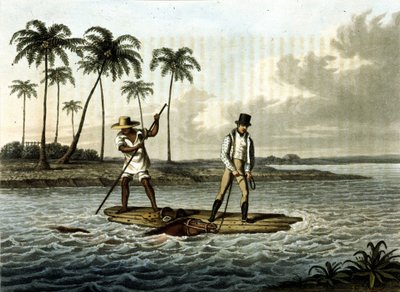 Unknown image dani af Unknown artist