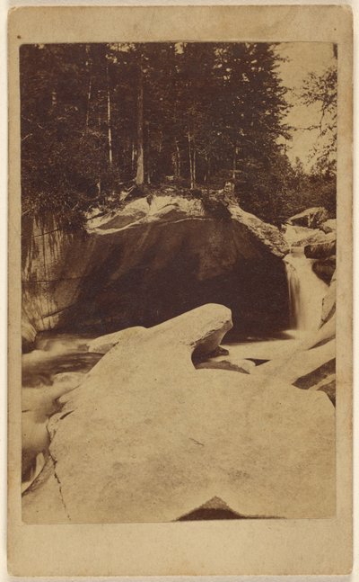 [Uidentificeret skovbillede med klipper og hule]. af Unknown artist