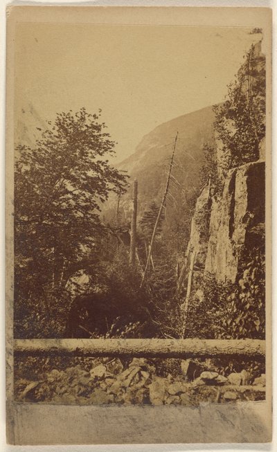[Uidentificeret bjergudsigt i New Hamsphire]. af Unknown artist