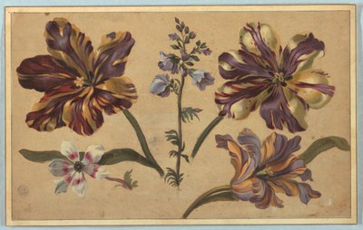 Forskellige blomster af Unknown artist