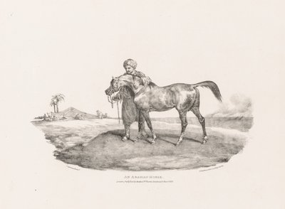 Forskellige emner tegnet fra livet og på sten: En arabisk hest af Unknown artist