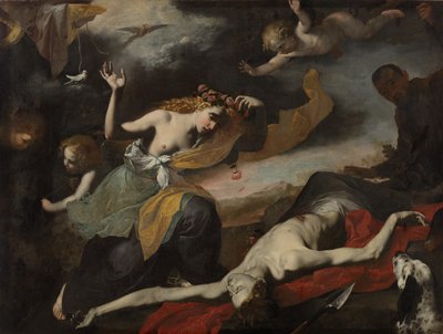 Venus opdager den døde Adonis af Unknown artist