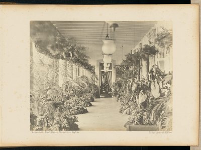 Veranda. Regeringens hus. Maurituis. af Unknown artist