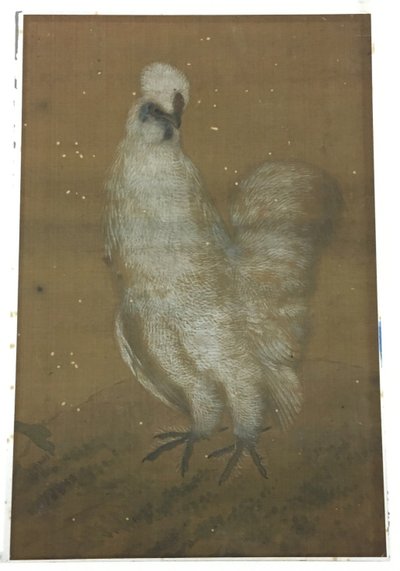 Den hvide hane af Unknown artist