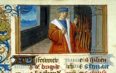 Zodiac Fish, pejs - miniature, middelalder (ref. 137, 046v): Anmodning om tilladelse til Toulouses kommunale bibliotek (tlf.: 05 62 27 66 66) af Unknown artist