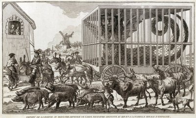 Zoomorphism - Karikatur mod Mary - Antoinette - Rejste fra harpyen eller amfibiemonsteret i Cadiz for at blive ført til kongen og kongefamilien i Spanien: Dette dyr blev taget ved bredden af Fagua-søen - 1784 - af Unknown artist