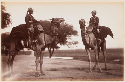 Camel Sowars på Delhi Camp of Exercise af Unknown photographer