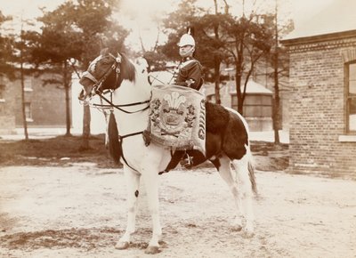 ? Drum-horse, 3rd Prince of Wales? S Dragoon Guards ?, 1895 circadani af Unknown photographer