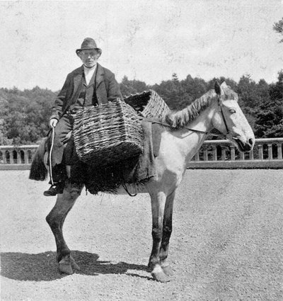 Irsk mand på sin hest (1800-tallet). af Unknown photographer