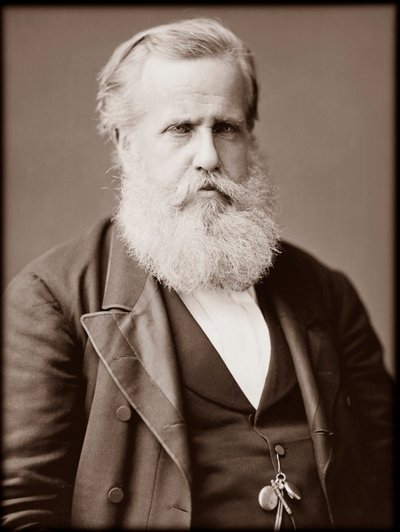 Portræt af Dom Pedro II (Peter II) (Dom Pedro de Alcantara) (1825-1891), kejser af Brasilien af Unknown photographer